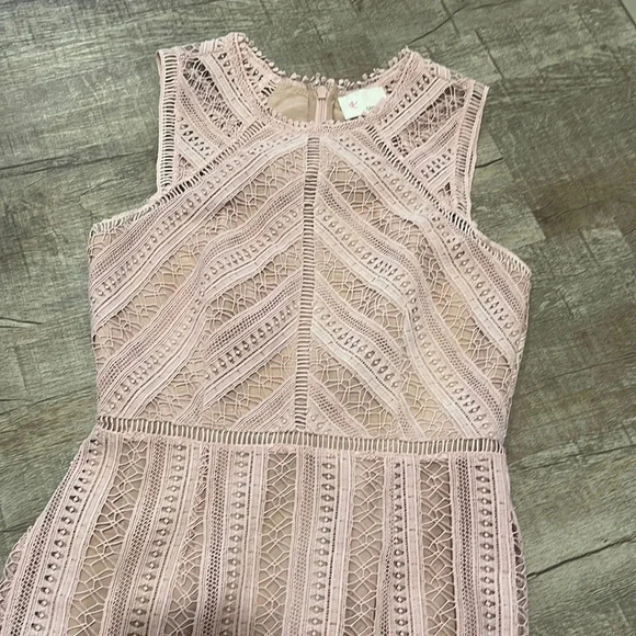 Anthropologie Greylin - Emilia Lace Mini Dress - Chalk Rose - Size Small - Picture 9 of 14